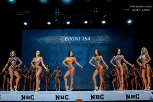 BIKINI 164